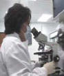Microbiologist, Jena Williamson